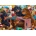 Dino - Puzzle Dachshunds - 300 piese