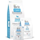 Brit Care Grain-free Junior Large Breed Salmon & Potato 2 x 12 kg