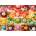 Cobble Hill - Puzzle Nom Nom Macarons - 500 piese