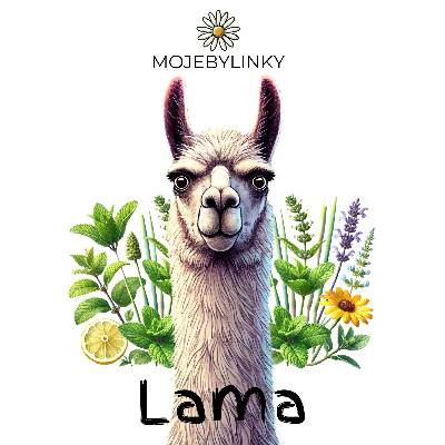Lama bylinný čaj Mojebylinky mnozstvi: 50g