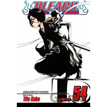 Bleach Kubo Tite