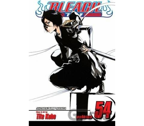 Bleach Kubo Tite