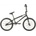 Colony Apprentice Flatland 2022