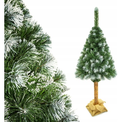 Elma Vianočný stromček na kmeni 180 cm borovica EA0006
