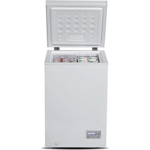 Snaigė FH10SG-T1000EH Фризери