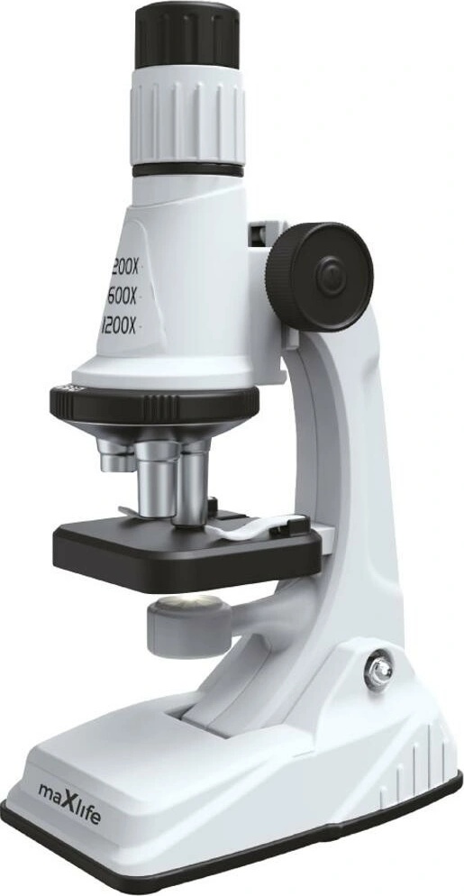 Maxlife MXMS-100