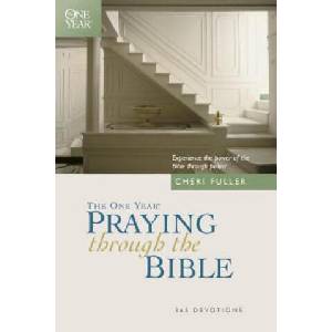 One Year Praying Through the Bible (ISBN: 9780842361781)