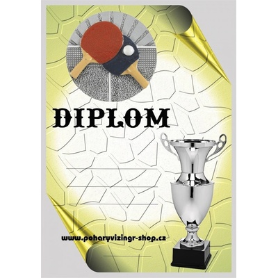 VIZINGR Stolní tenis diplom A4 č.24