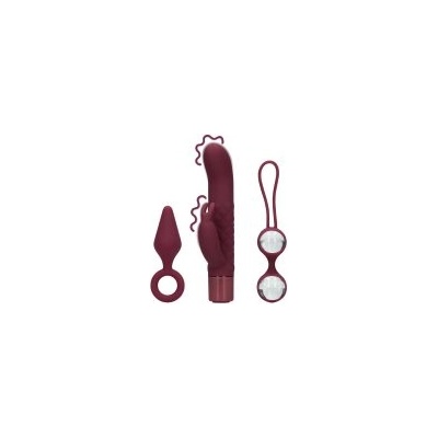 LOVELINE (S)explore Toy Kit for Her Dark Cherry (P26712)