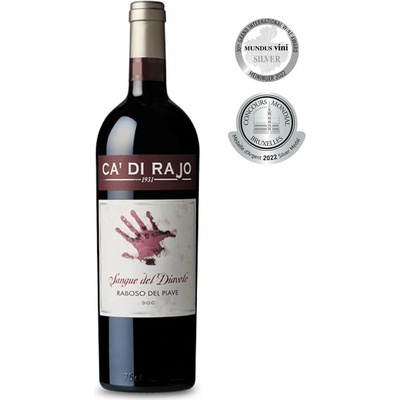 CA' DI Rajo Sangue del Diavolo Raboso DOC Piave 14% 0,75 l (holá láhev)