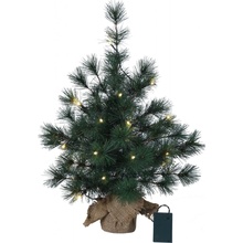 STAR TRADING Dekorativní svítící stromek Tree Furu 60 cm, zelená barva, plast