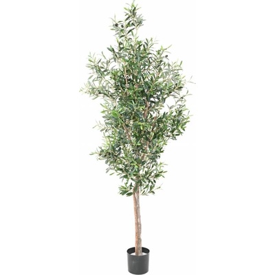 Umelý strom Olivovník 2 prírodné kmene, 180cm