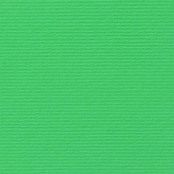 Fabriano Картон Elle Erre, 70 x 100 cm, 220 g/m2, № 119, светлокафяв (46470119/10_TERRA BR)