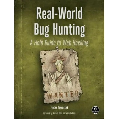 Real-world Bug Hunting
