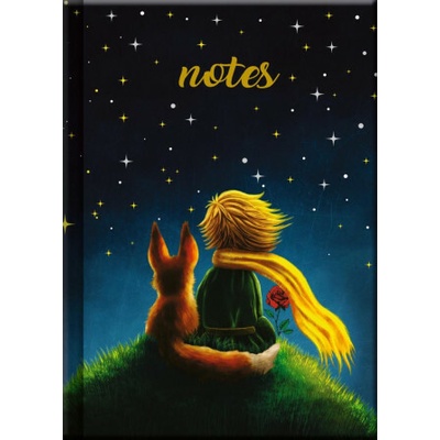 Notes mini MALÝ PRINC