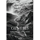 fo-Salgado-Genesis –