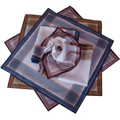 Etex pánské kapesníky světlé z česané bavlny – Zbozi.Blesk.cz