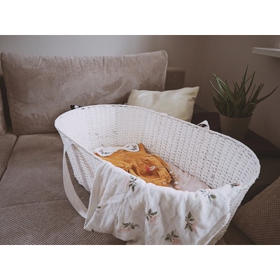 Ahojbaby Mojžíšův košík pro miminko Paper Dream bílá matrace – Zboží Dáma