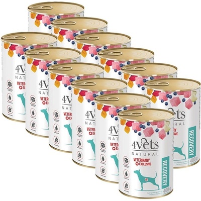 4Vets Natural Veterinary Exclusive Recovery 12 x 400 g