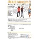 Přehled tvarosloví ČJ