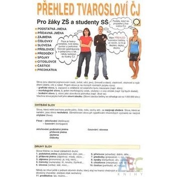 Přehled tvarosloví ČJ