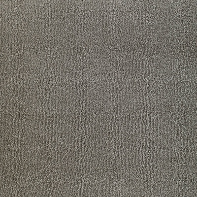 Edel Eternity Alloa Squirrel 173 šedý metráž 4m