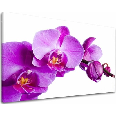 Obraz na stenu KVETY - 20x30