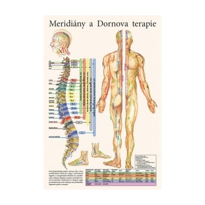 Meridiány a dornova terapia - plagát