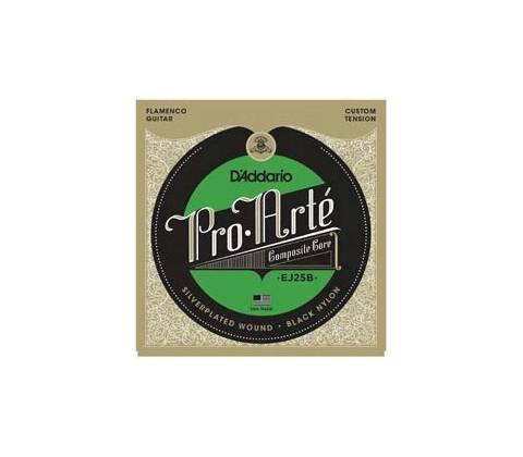D'Addario EJ25B