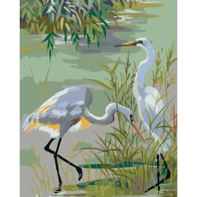 zuty Malování Podle Čísel Dvě Volavky Popelavé U Jezera 80 x 100 Cm Plátno Rám