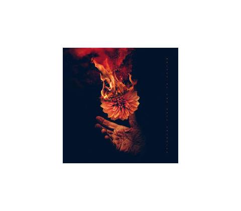 Wolves At The Gate - Eulogies CD