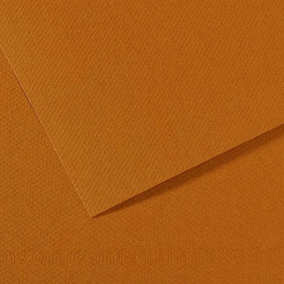 Canson Tónovaný papier Mi-Teintes 50 x 65 cm 160 g/m²Havana svetlá 502