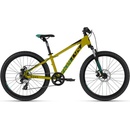 Kellys Marc 50 2025