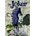 Joker Various