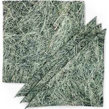 Foonka Подложки за чинии Foonka сено плат 4 бр (TM_36X36-H)