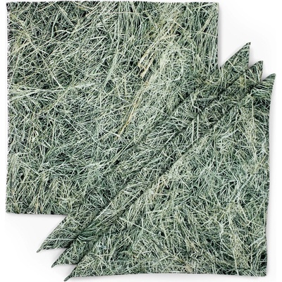 Foonka Подложки за чинии Foonka сено плат 4 бр (TM_36X36-H)