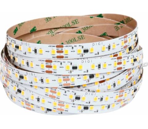 T-LED 079556