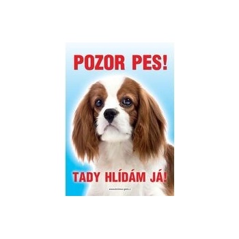 Grel Tabulka pozor pes kavalír king