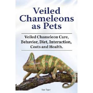 Veiled Chameleons as Pets. Veiled Chameleon Care, Behavior, Diet, Interaction, Costs and Health. | Ben Team (2019)