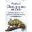 Veiled Chameleons as Pets. Veiled Chameleon Care, Behavior, Diet, Interaction, Costs and Health. | Ben Team