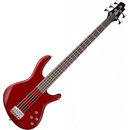 Cort Action V Plus TR