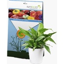 Symbiom Algavit 100 g