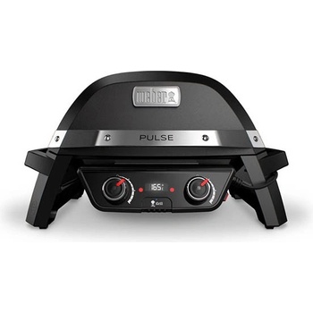 Weber PULSE 100