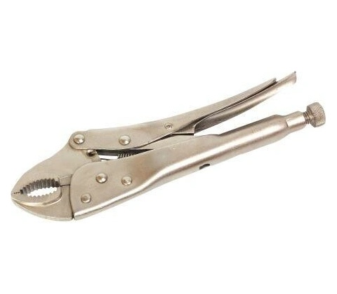 FESTA 463851
