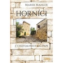 Horníci
