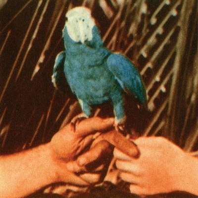 BIRD ANDREW: ARE YOU SERIOUS LP
