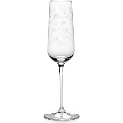 Serax Midnight Flowers Чаша за шампанско, 260 мл (B0823304-050)