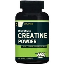 Optimum Nutrition CREATINE POWDER 317 g