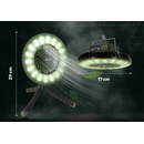 NGT Dynamic Cree