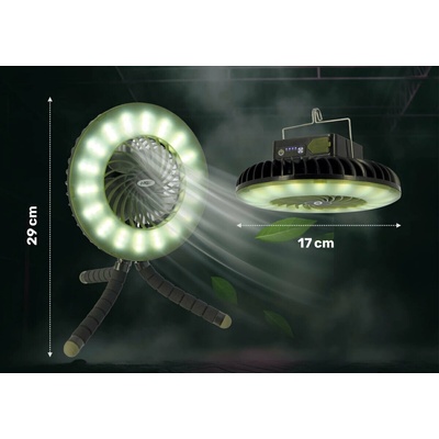 NGT Dynamic Cree